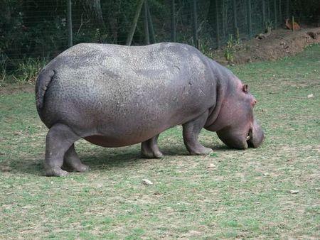 famille + planète sauvage 043