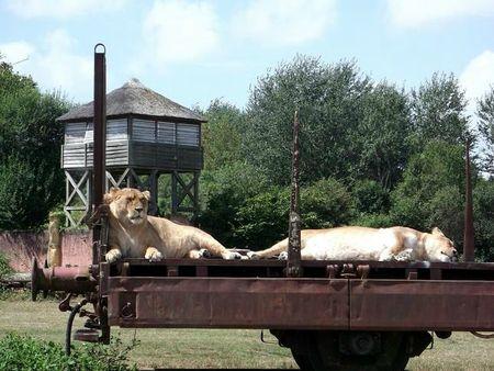 famille + planète sauvage 034b