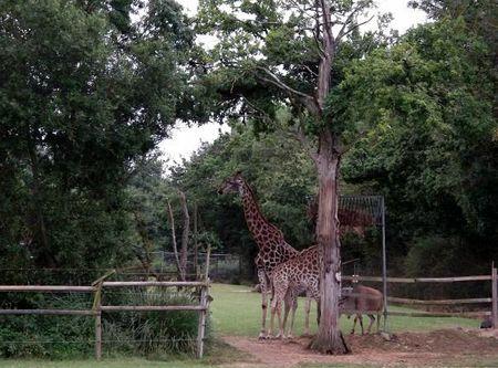 famille + planète sauvage 031b