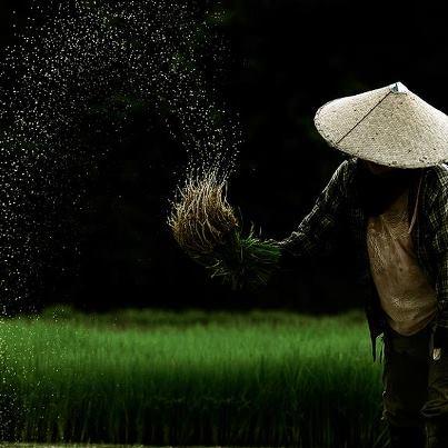 Thaïs Rak Thaïs (1)