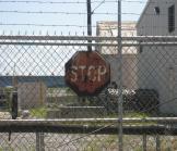 Le protectionnisme a-t-il permis le miracle américain ?