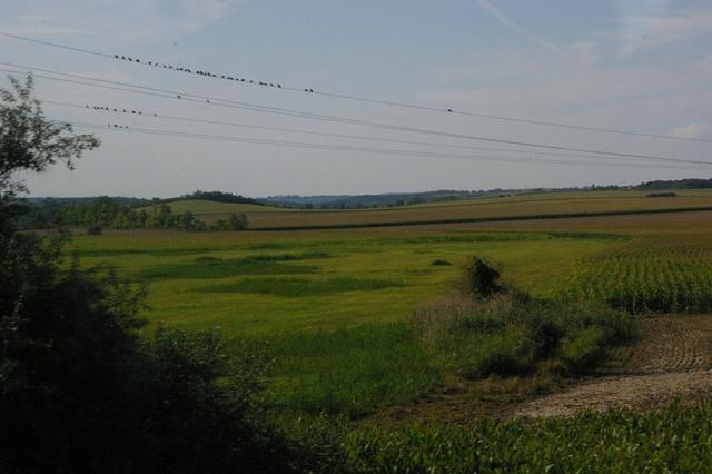 IMGP7458 Hongrie Ouest Campagne