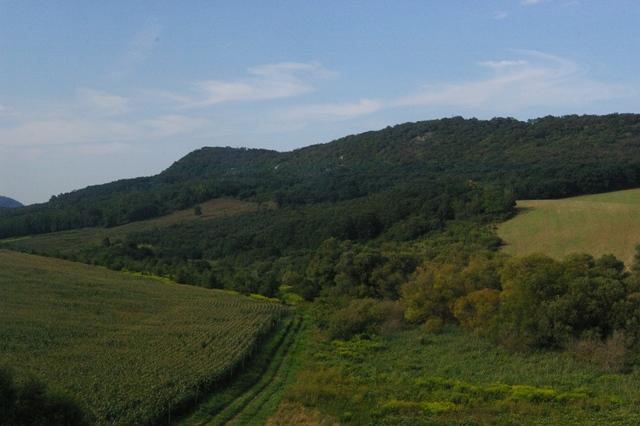 IMGP7480 Hongrie Ouest Campagne