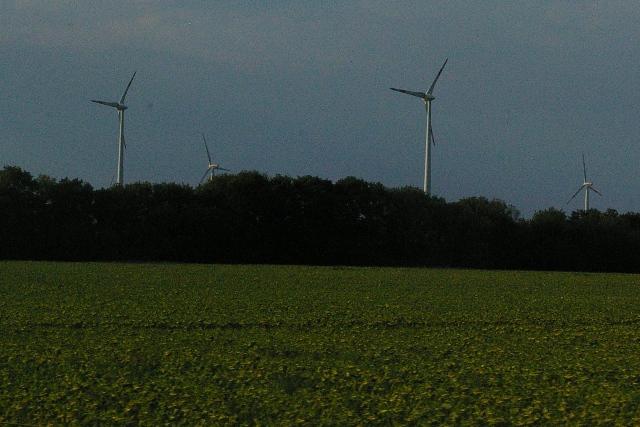 IMGP7513 Hongrie Ouest Tournesols Eoliennes