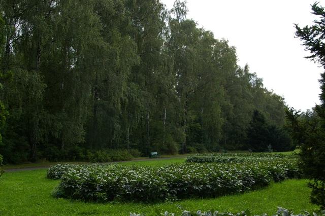 IMGP6332 Parc Floral de Lodz