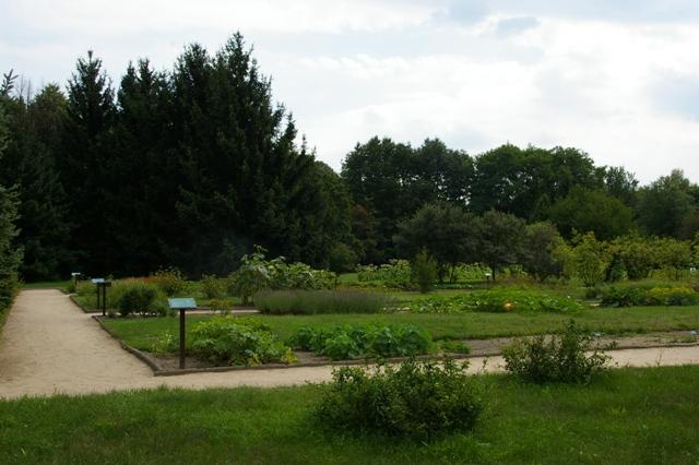 IMGP6494 Parc Floral de Lodz plantes utilitaires