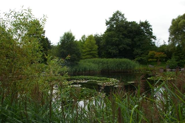 IMGP6187 Parc Floral de Lodz