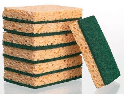 Eponge Grattoir - brunoroch.fr