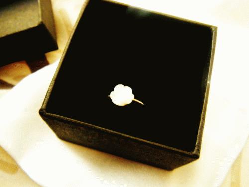 [Shooting & Inspiration] Random