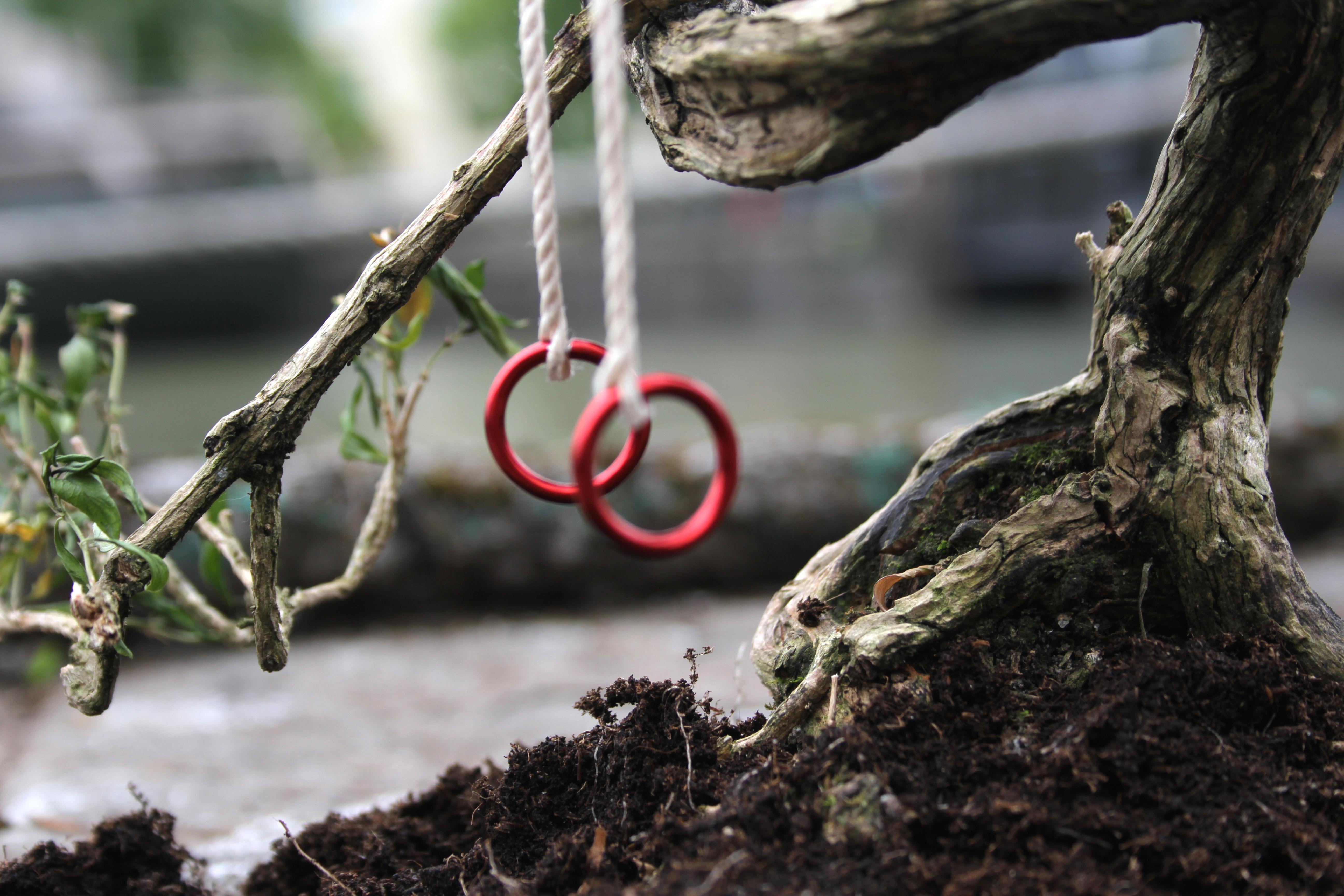 Jardin dans un nid de poule anglais