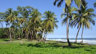 De nouveaux rendez-vous en 2013!