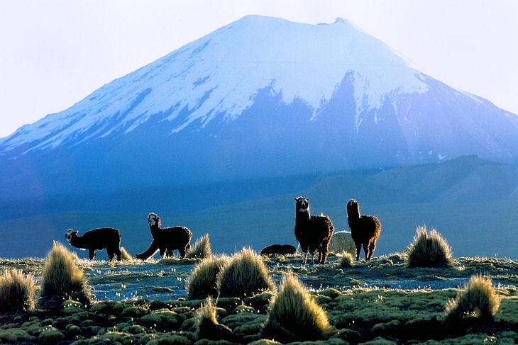 La Bolivie irradiante et volcanique