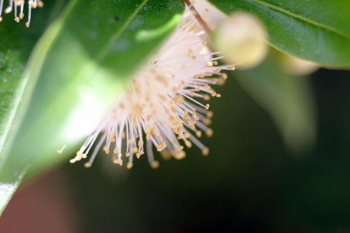 6 paris 21 juil 2012 133.jpg