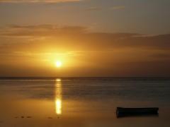 littérature; poésie; anthologie; livres