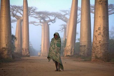 Les belles photos du concours National Geographic
