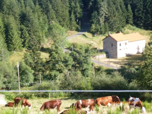 voyage 8 aoÃ»t 2012 077.jpg