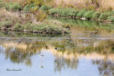 balade dans la lagune de Venise