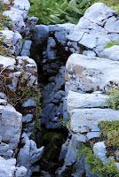 La Vallon de Sales et la Brèche du Dérochoir