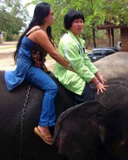 Au pays des khmers d'ISAN (3). À la poursuite des éléphants !