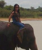 Au pays des khmers d'ISAN (3). À la poursuite des éléphants !
