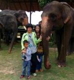 Au pays des khmers d'ISAN (3). À la poursuite des éléphants !