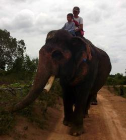 Au pays des khmers d'ISAN (3). À la poursuite des éléphants !