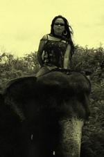 Au pays des khmers d'ISAN (3). À la poursuite des éléphants !