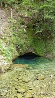 Du domaine des Murmures de Carole Martinez