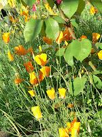 PHOTO DE LA SEMAINE #29