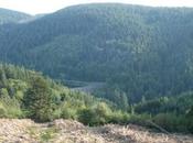 Hier soir dans Pilat(photos perso entre Saint-Etienne Rochetaillée)