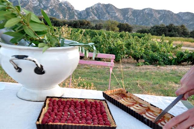 Pic Nic dans les Alpilles