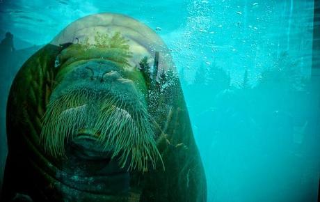 Road trip Québec partie 3 anteketborka.blogspot.com, roadtrip9