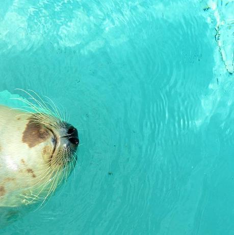 anteketborka.blogspot.com, roadtrip5