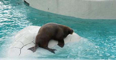 Road trip Québec partie 3 anteketborka.blogspot.com, roadtrip10