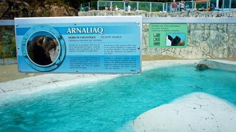 Road trip Québec partie 3 anteketborka.blogspot.com, roadtrip6