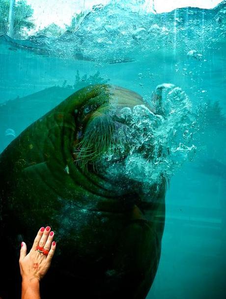 Road trip Québec partie 3 anteketborka.blogspot.com, roadtrip7