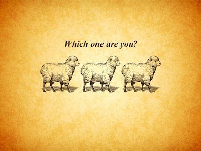 [Ils nous prennent pour des cons] Par principe...