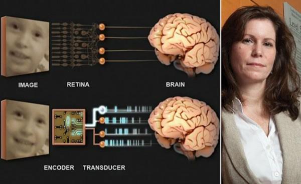 Un dispositif électronique pourrait rendre la vue à des millions d’individus