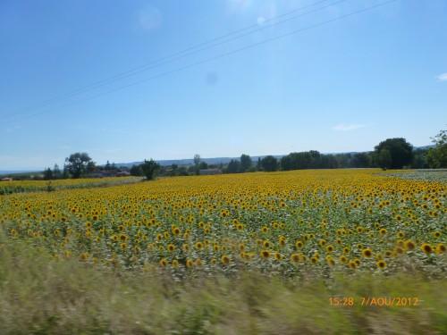 voyage 7 aoÃ»t 2012 094.jpg