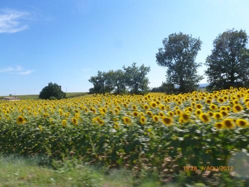 voyage 7 aoÃ»t 2012 095.jpg