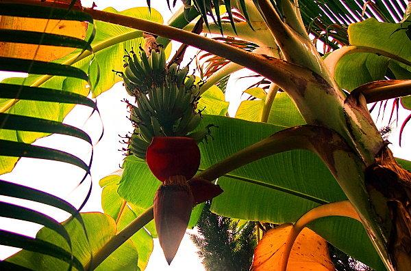 2012-08-19 18-57-20 - DSCF1881