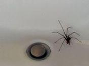 Superstition imbécile