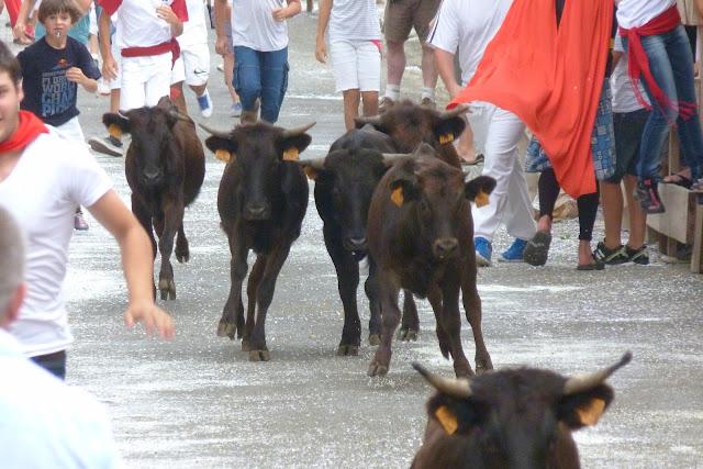Vaya Vacas...