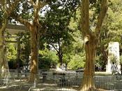 deux arbres mieux gardés pays