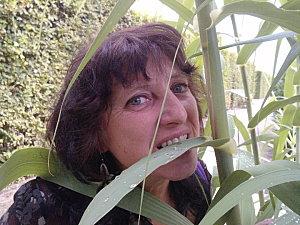 arielle cathédrale limoges 2010