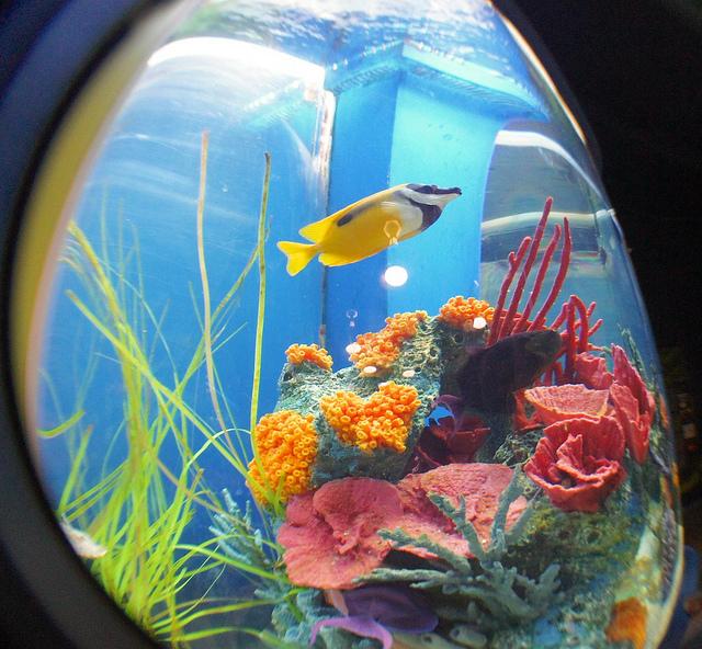 anteketborka.blogspot.com, roadtrip18