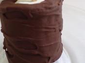 Bâtonnets petits-suisses glacés enrobés chocolat