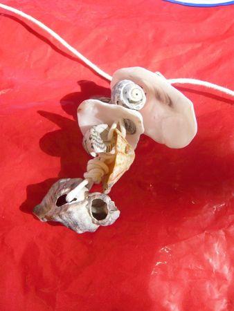 Bijoux coquillage pendentif