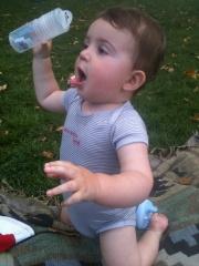 Marchera, marchera pas, marchera, marchera pas… ben c’est pas encore pour cette semaine !