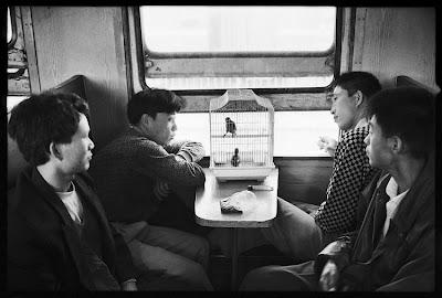 The Chinese in the train de Wang Fuchun